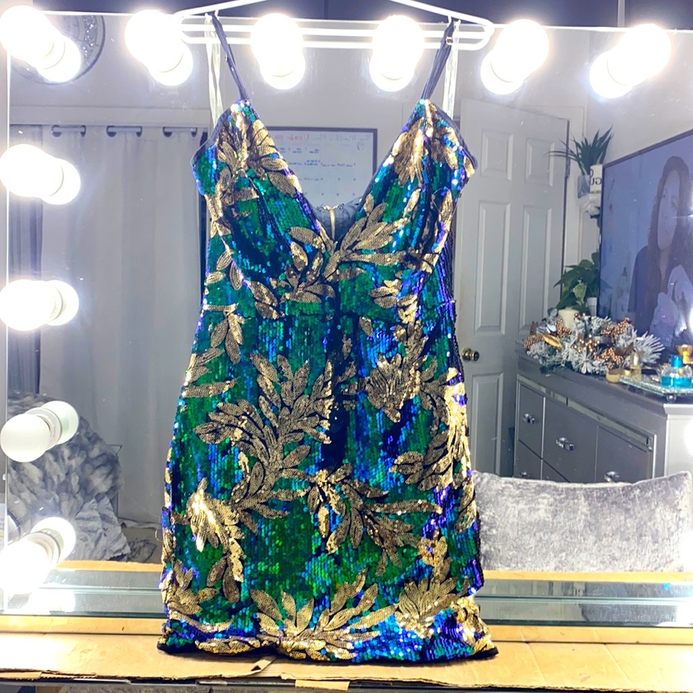 Fashion nova sequin dress.
